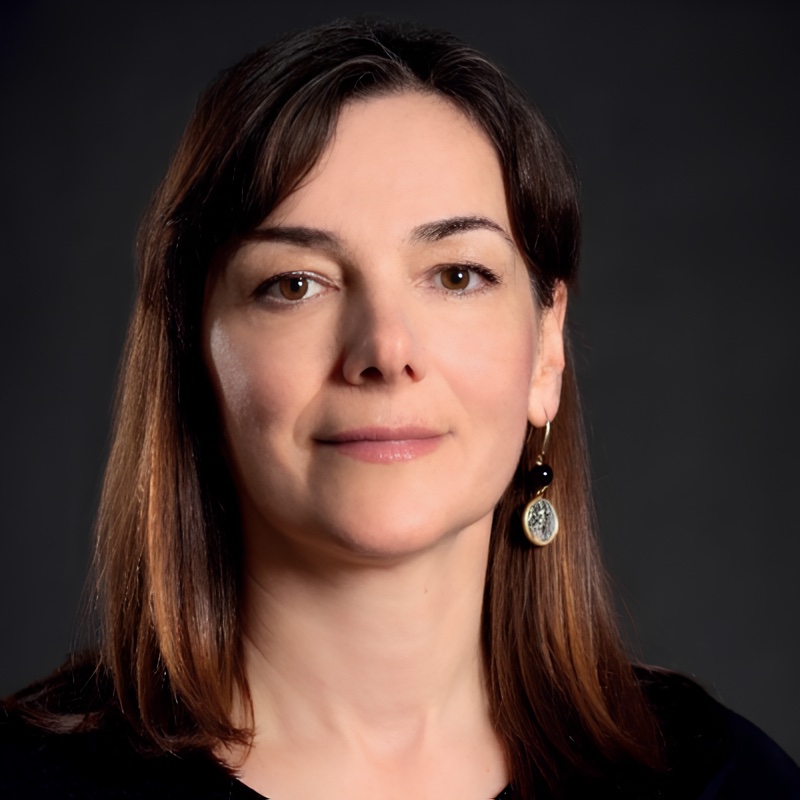 Ilinca Păun